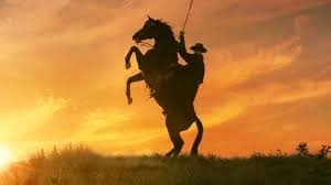 California dianas written and produced by eduardo gamboa performed by banda de tlayacapan see more ». The Legend Of Zorro Netflix