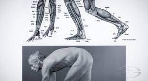 How To Draw A Werewolf Monster Drawing Techniques With Monster Sculptor Creature Designer Jessie Fohrman Stan Winston School Of Character Arts