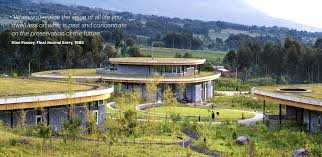 Image result for Crassocephalum ducis-aprutii