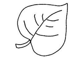 Jungle coloring pages also become a learning experience for your kids. Jungle Leaf Template Bing Images Jungle Leaf Template Leaves Coloring Pages Leaf Template