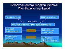 Nota adalah dalam format power point dan pdf. Bermacam Nota Sains Tingkatan 4 Yang Penting Untuk Murid Download Pendidikan Abad Ke 21