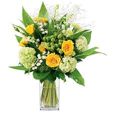 Ces deux fêtes donnaient l'occasion autrefois aux jeunes aujourd'hui l'aspect sentimental de la fête du muguet a fait place à une tradition plus large, celle d'offrir du muguet afin. Muguet Porte Bonheur Du 1er Mai Livraison Muguet Fleuriste 1er Mai Wikifleurs