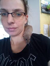 Velma's husband, Basil Anest Berchekas Sr (1897-1987) Educated in the U.S.  after successfully immigrating from Greece. Basil, helped keep Indiana's  Highway engineering system safe & worked for the Naval Avionics Center