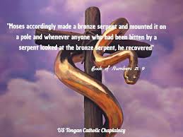 Numbers 21 9 Book Of Numbers Bible Quotes Inspirational Quotes