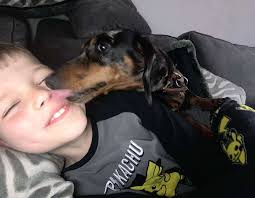 The tragic death of Joshua Hillstead, eight, and another Midlands teen has  led to warnings over the deceptive dangers of open water.