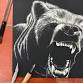 Scratch Art Animals event image