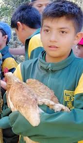 A. Dehmel recibió un Premio