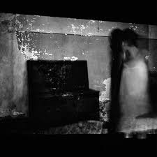 Bildergebnis für Ala D'Amico