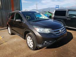 Image result for Kona Coffee 2013 CRV