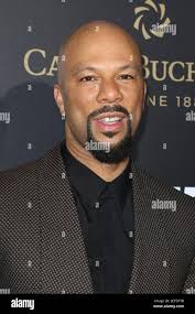 Lonnie Rashid Lynn Jr. A.K.A. Common at The Premiere Of Summit  Entertainment's 'John Wick: Chapter Two' held at ArcLight Hollywood