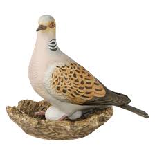 On the a361 main road between east lyng and burrowbridge. Bird Of The Year 2020 Turtle Dove Large