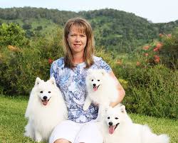 About Shanspitz Shanspitz Japanese Spitz
