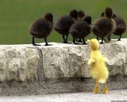 Check spelling or type a new query. Contoh Narrative Text Artinya The Ugly Duckling