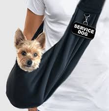 Ez Sling Small Service Dog Sling Carrier Check Out The Image By Visiting The Link This Is An Affiliate Link Dog Sling Dog Carrier Sling Service Dogs