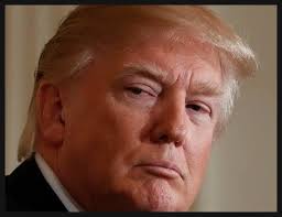 Analysis of Trump's Presidency and Fascism