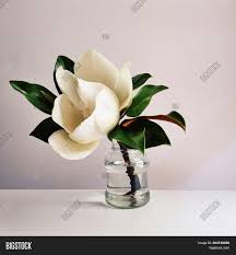 Photographer in italy based in umbria, perugia ~ work everywhere in italy wedding~love story~fashion~portrait. Beautiful White Image Photo Free Trial Bigstock