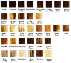Dark Strawberry Blonde Hair Color Chart Find Your Perfect