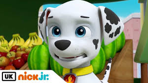 Marshall New Paw Patrol Character PAW Patrol Marshall