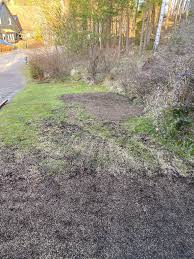 Image result for site:byggahus.se sådd