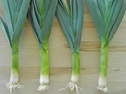 Jadi, kalau anda tanam daun bawang ni sendiri memang lagi bagus. Cara Menanam Daun Bawang Baca 5 Tahapan Ini