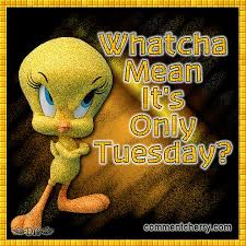 January 7, 2019, 11:13 am 46.8k views. 46 Tuesday Ideas Tuesday Quotes Tuesday Humor Tuesday