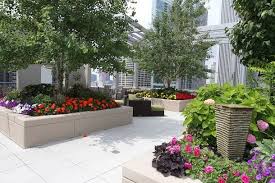 11 Essential Rooftop Garden Tips And Tricks For The Beautiful Roof Terrace Garden Rooftop Garden Roof Garden Plants Roof Garden