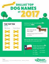 Dallas Top Dog Names For 2017 The Dog People By Rover Com