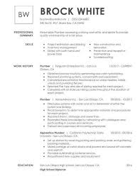 Download 20+ modern resume formats in both microsoft word (doc) & pdf. Simple Resume Sample Format Download Word For Fresher Job Doc With Hudsonradc
