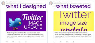 Twitter crop is how the social media platform twitter decides to crop previews of photos that people post. Twitter Image Size And Specs This Is All You Need To Know
