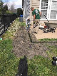 For water to drain properly, moisture needs to soak into the ground. Too Much Water Unhealthy For Plants And House Daily Press