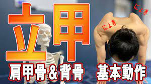 立甲 りっこうのやり方 肩甲骨の基本動作 背骨の３つの動き 四つ這い編vol 2 肩甲骨 肩関節 肩甲骨 ストレッチ