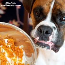 3 Ways To Make A Healing Mash For Dogs With Diarrhea Gas Dog Has Diarrhea Dog Remedies Dog Words