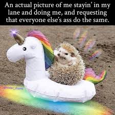 Don T Worry About What I M Doing Worry About Why You Re Worried About What I M Doing Stayi Problems Funny Funny Spiritual Memes Monkey Stuffed Animal