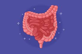 Crohn disease, also known as regional enteritis, is an idiopathic inflammatory bowel disease characterized by widespread discontinuous gastrointestinal tract inflammation. Waspadai Crohn Penyakit Yang Bisa Meningkatkan Komplikasi Berbahaya