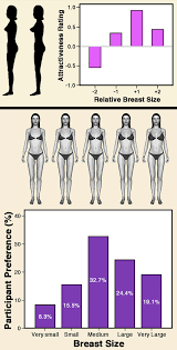 Just in 2 minutes, take the bra fitting thankfully, calculating the bra size is no rocket science and here we are, to tell you how to measure basically, these are alternate bra sizes where the cup volume stays the same even though the band. Bra Size Graph Off 74 Medpharmres Com