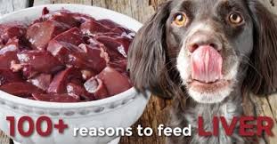 why you need to feed your dog liver