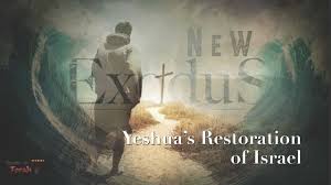 Image result for Yeshua will restore Israel