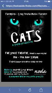Cats Flyer Music Theater Flyer Cats
