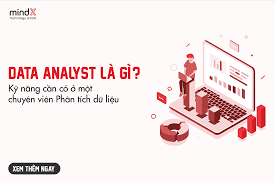 Data Analyst là gì? Phương pháp & +4 kỹ năng phân tích dữ liệu