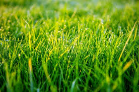 Grounding meaning in hindi (हिन्दी मे मीनिंग ) is प्रारंभिक शिक्षा.english definition of grounding : Grass Root System Studiousguy
