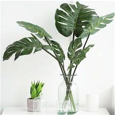 Beautiful flowering plants can add color to any indoor space, functioning as part of the decor while also providing a variety of mental and emotional health benefits. 10 Best Indoor Plants In The Philippines Best Of Home 2021