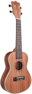 Maybe you would like to learn more about one of these? First Time Reply Hricane Ukelele Concert Ukulele Spruce 23 Inch With Flowers Laser For Beginners Quality Guaranteed Www Misrtalateen Com