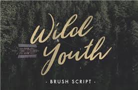 You'll be guided through idea generation and character design and given tips on ways to govern space to create balance and h. 20 Best Script Fonts To Use For Your Projects In 2020