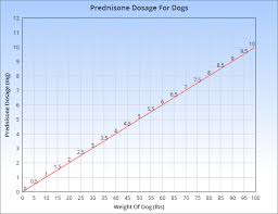 prednisone for dogs dosage side effects and more