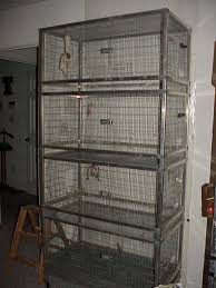 Parrot Breeding Cages Parrot Toys Parrot Cage Parrot
