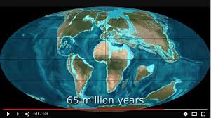 Resultado de imagen de Distribución de los continentes hace 260 millones durante el Pérmico
