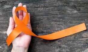 Jun 13, 2021 · west kelowna country musician raises $45k for multiple sclerosis in one day. World Multiple Sclerosis Day 2020 Significance Meaning And Importance News Vibes Of India Latest News Update On Kashmir Business And Energy
