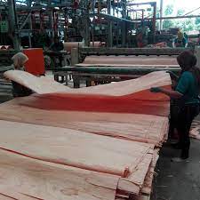 We did not find results for: Alamat Pabrik Triplek Di Ketawang Gondanglegi Kayu Jabon Daftar Alamat Perusahaan Produsen Kayu Lapis Di Indonesia Belanja Di Indotrading Secara B2b Dengan Mudah Noelle Haas