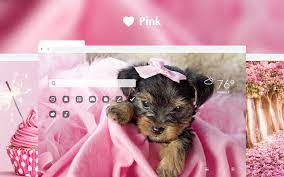 Pink wallpapers, backgrounds, images— best pink desktop wallpaper sort wallpapers by: Pink Hd Wallpapers New Tab Theme Chrome Web Store