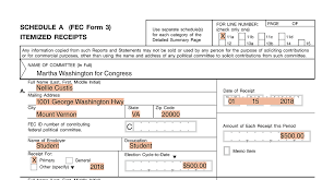 Political campaign plan examples doc. Individual Contributions
